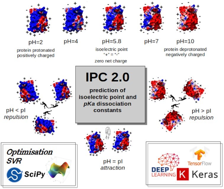 Graphical Abstract