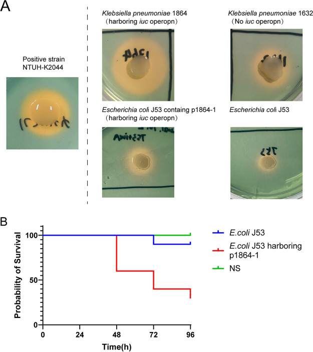 FIG 4