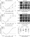 FIG 2