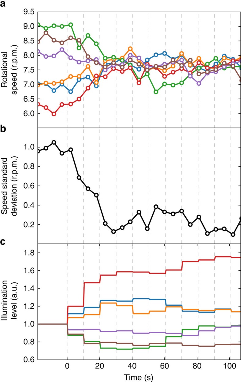 Figure 6