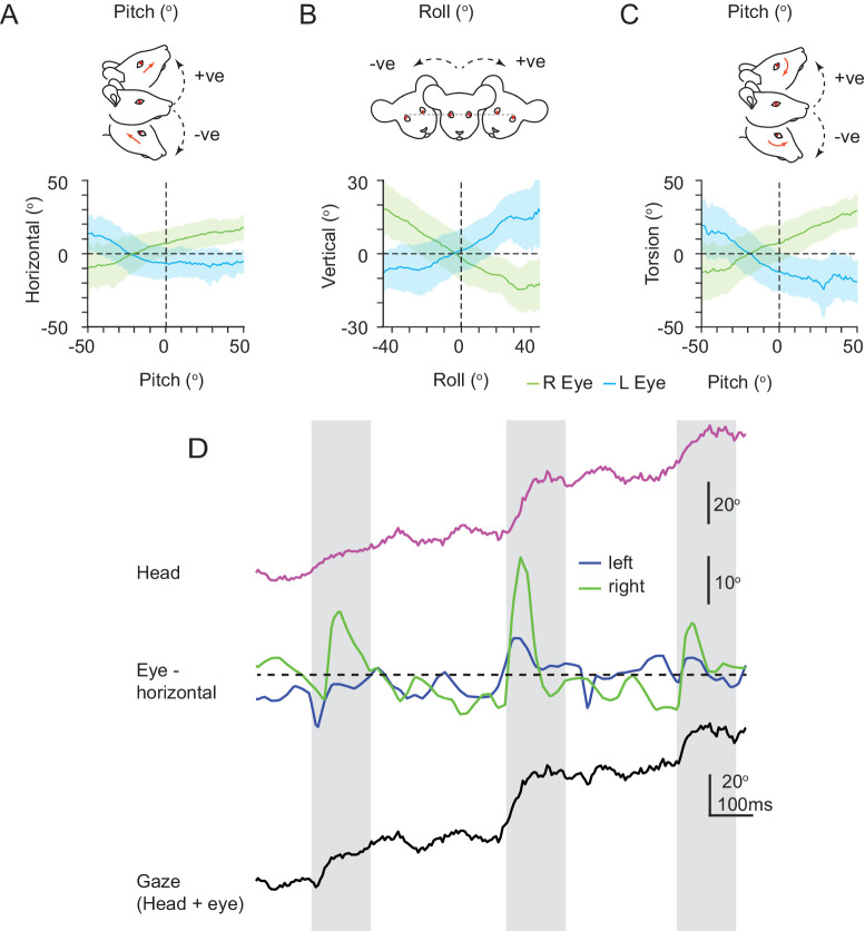 Figure 4—figure supplement 1.