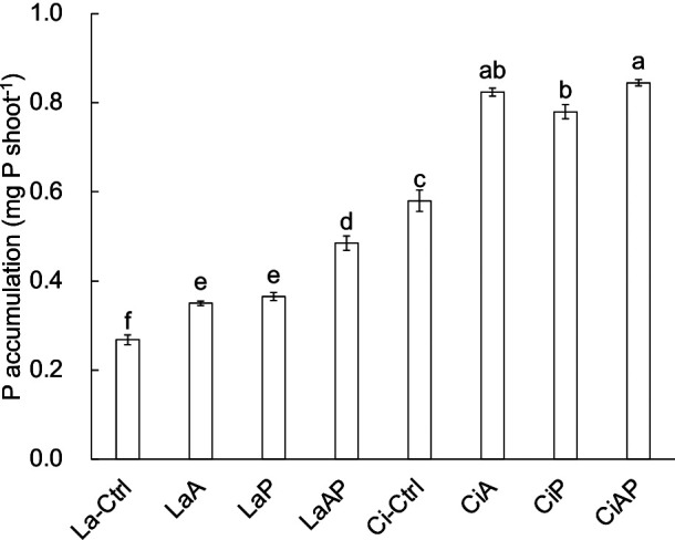 Fig. 2.