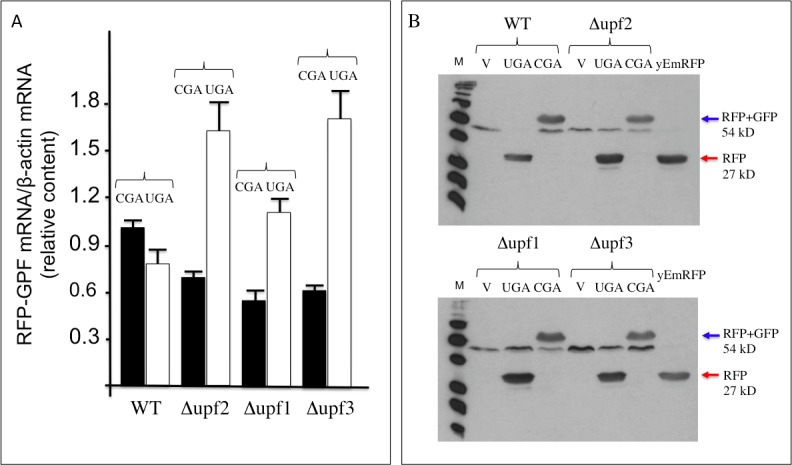 Fig 7