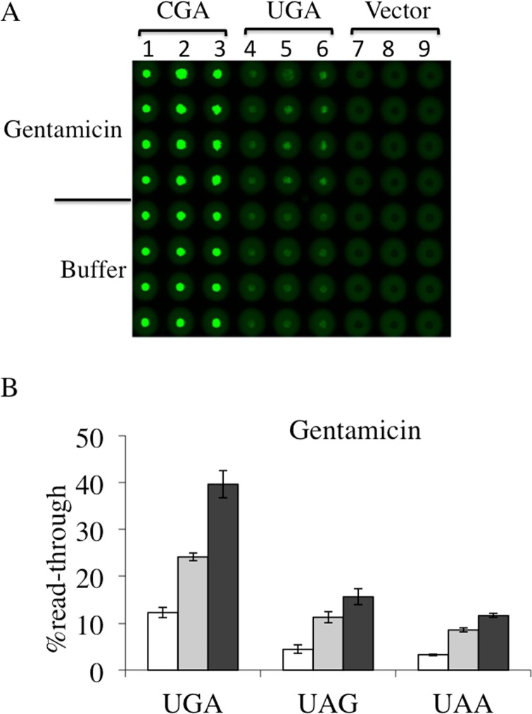 Fig 5