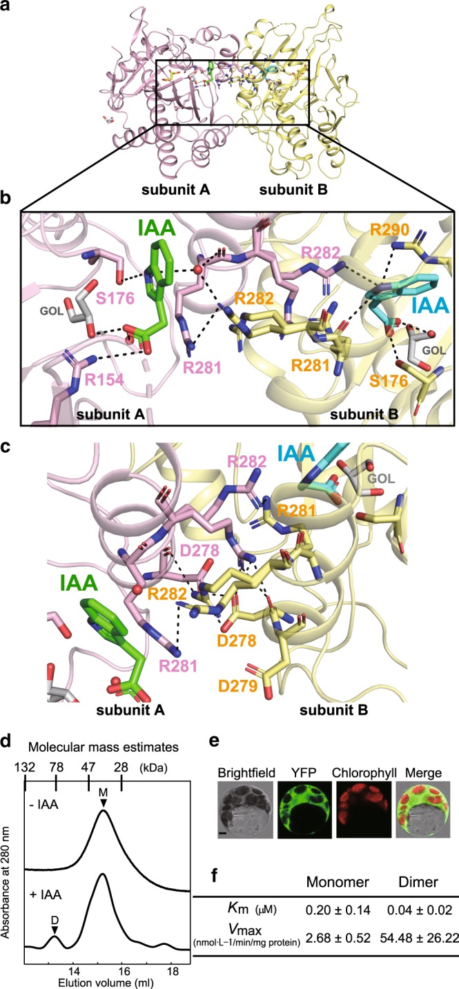 Fig. 4