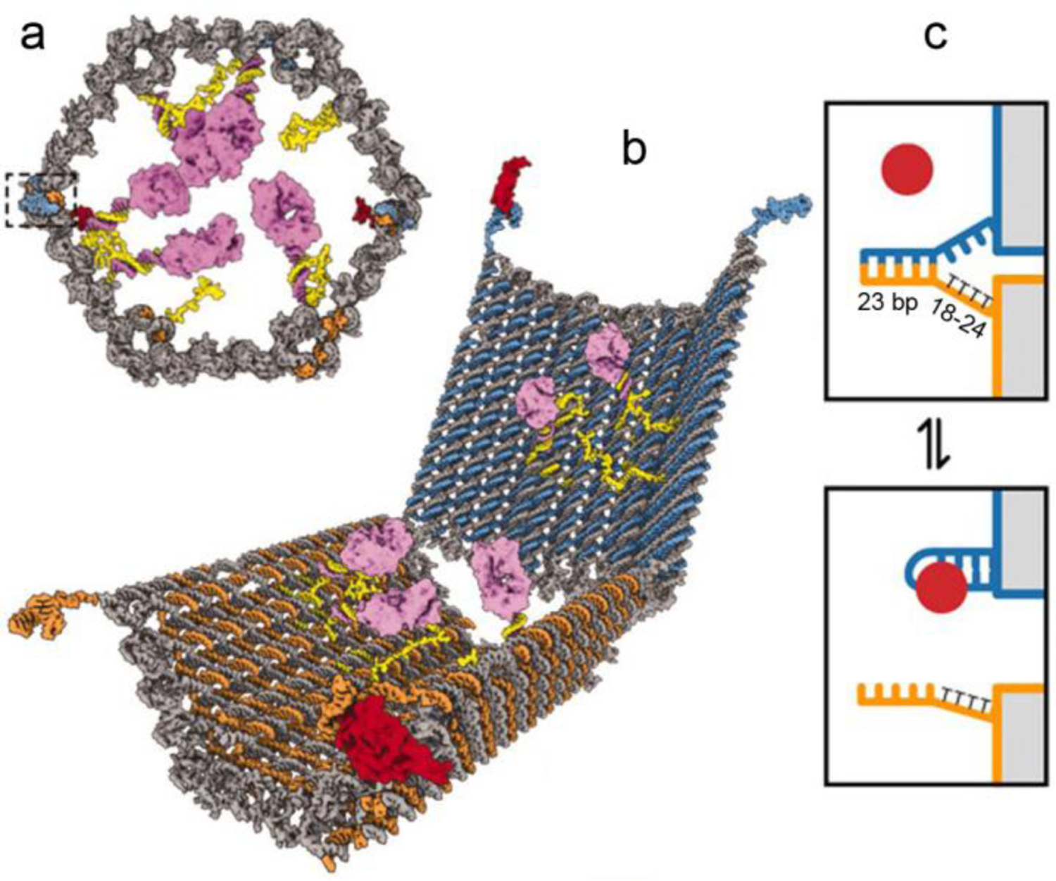 Figure 7.