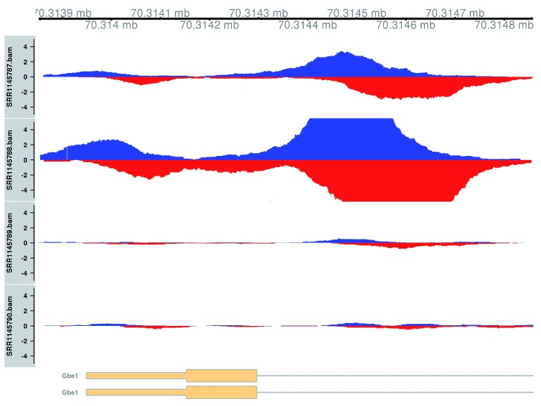 Figure 13. 