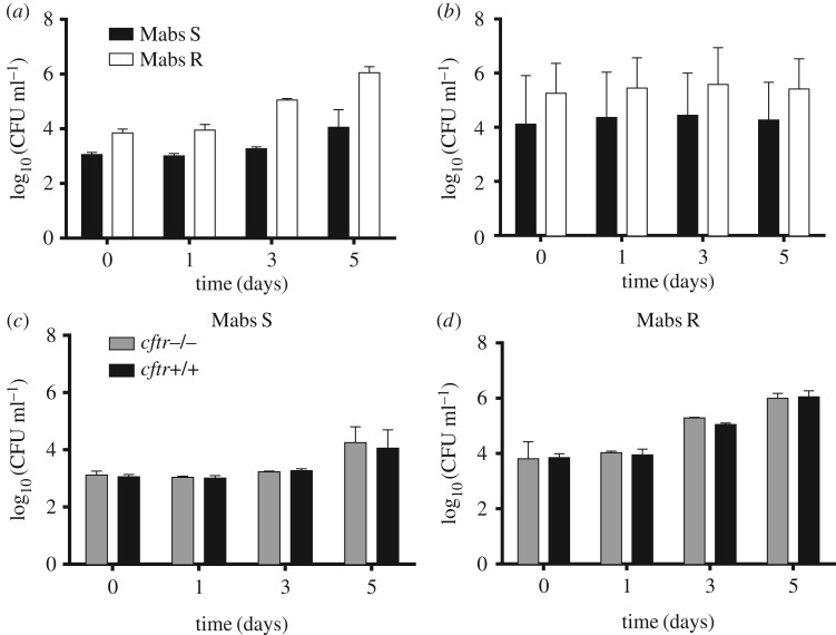 Figure 2.