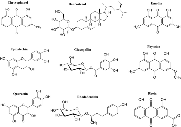 Fig. 2