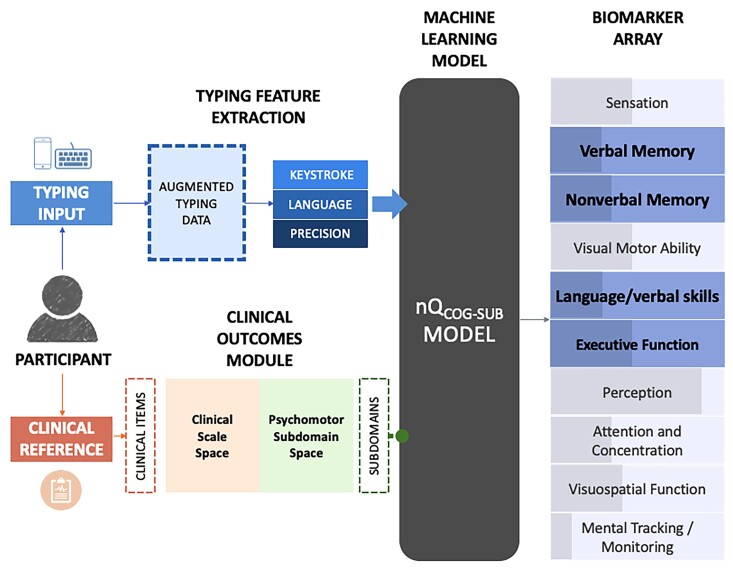Graphical abstract