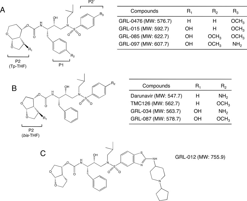 FIG 1