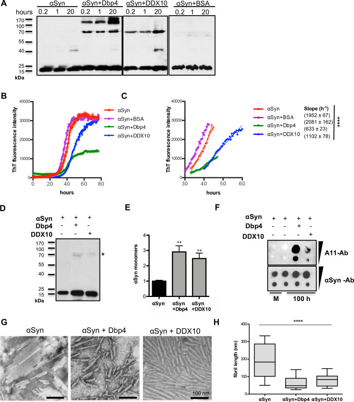 Fig 8