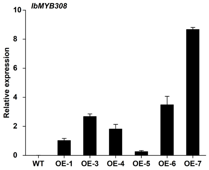 Figure 5