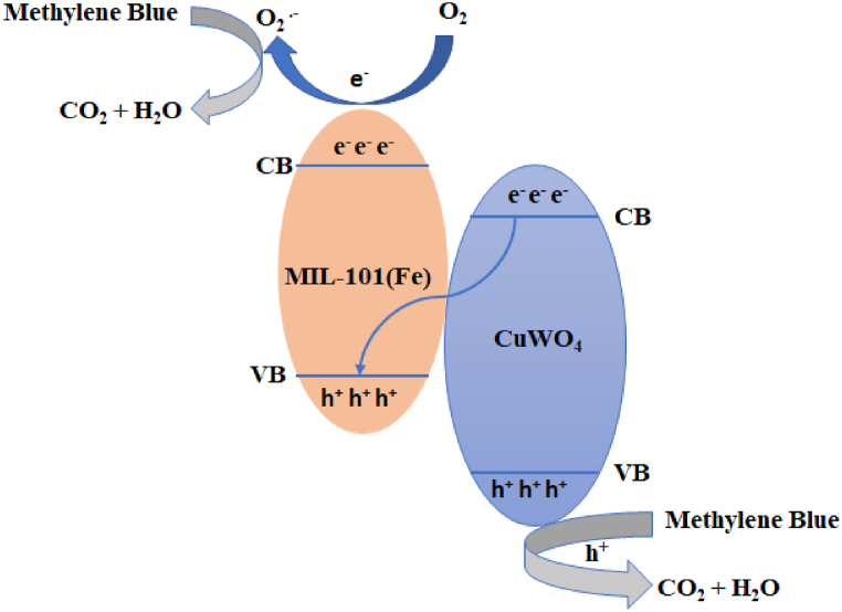 Fig. 12