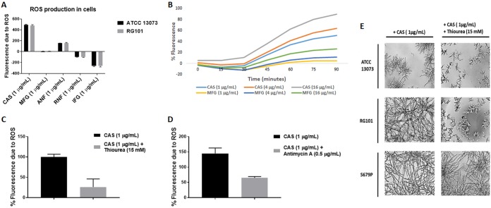 FIG 6