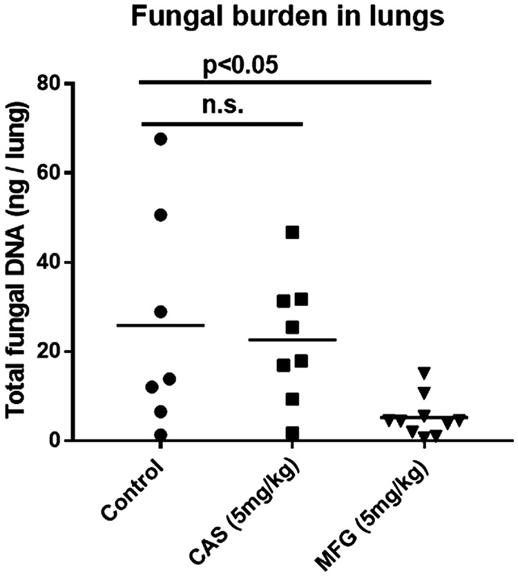 FIG 2