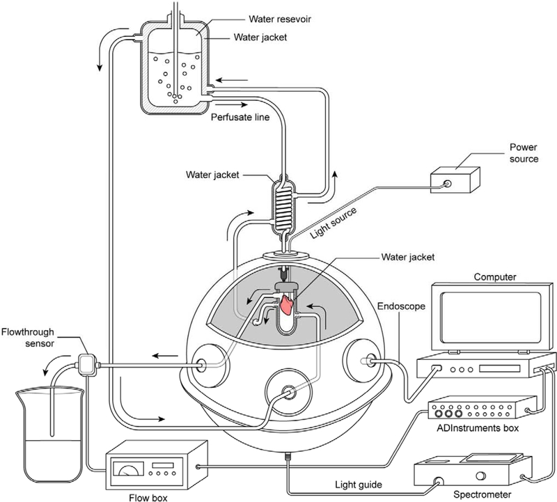 Figure 2: