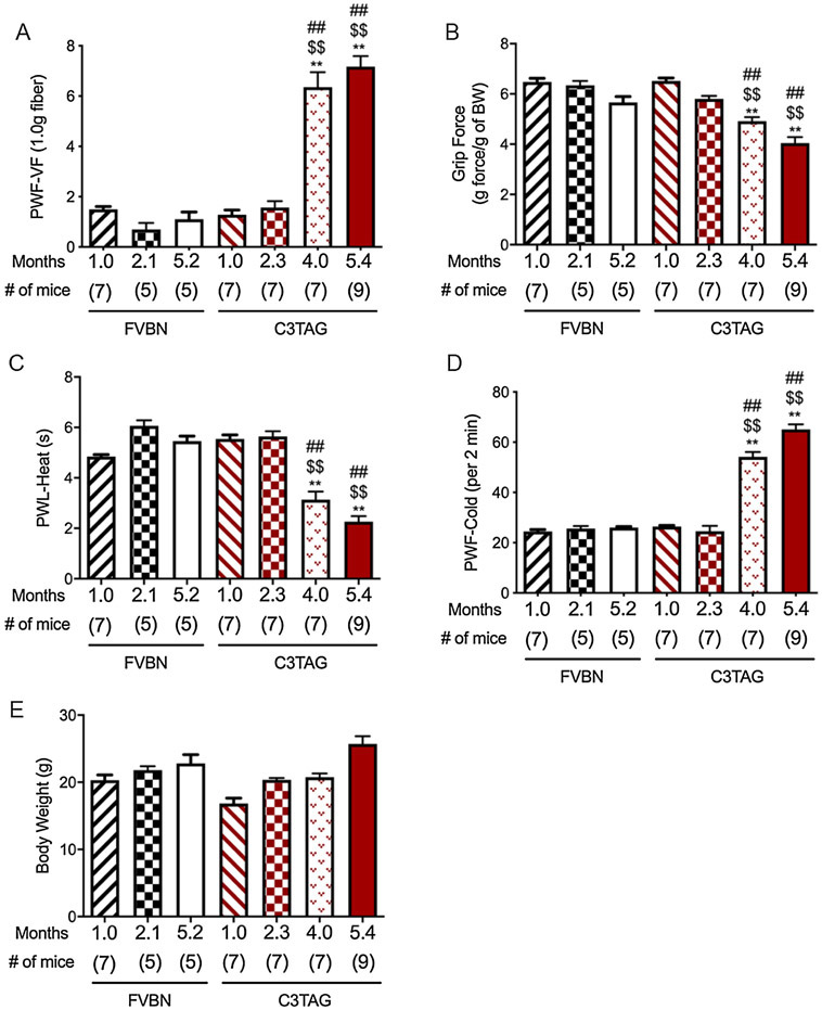 Figure 1: