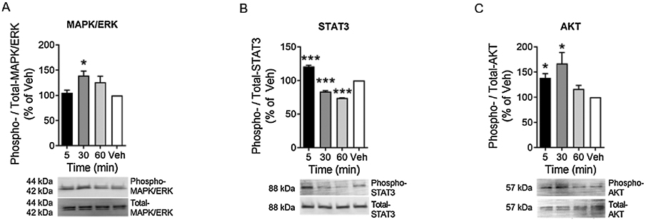 Figure 4: