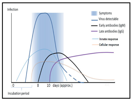 Figure 2.