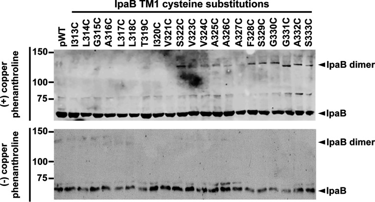 FIG 4