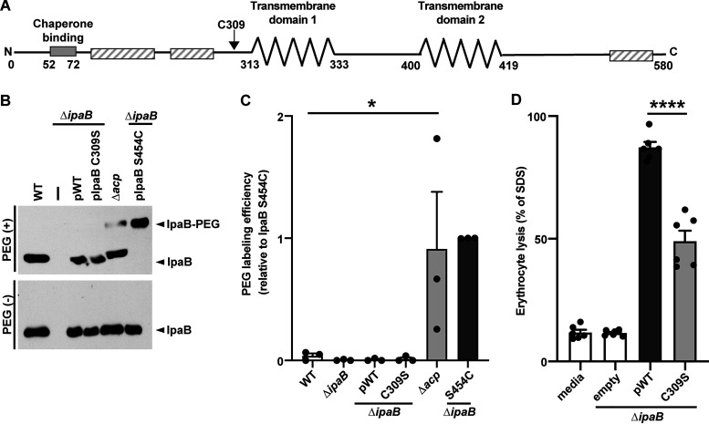 FIG 1