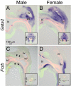 Fig. 10