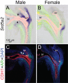 Fig. 9