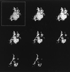 FIG. 3
