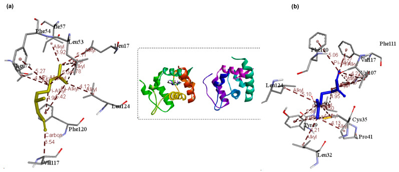 Figure 11