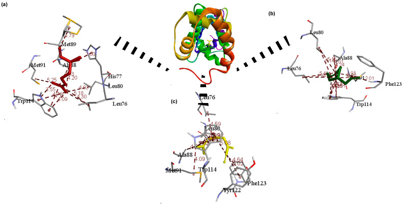 Figure 12