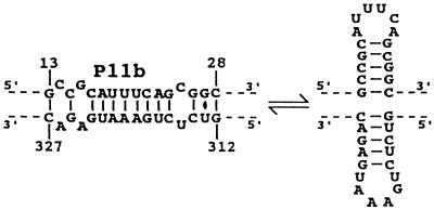 FIG. 6