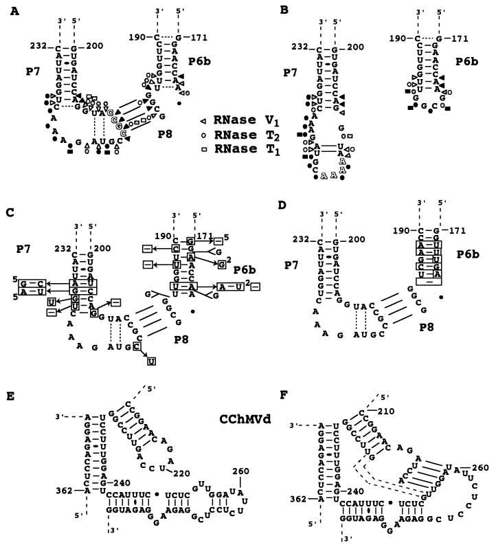 FIG. 5