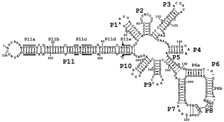 FIG. 3