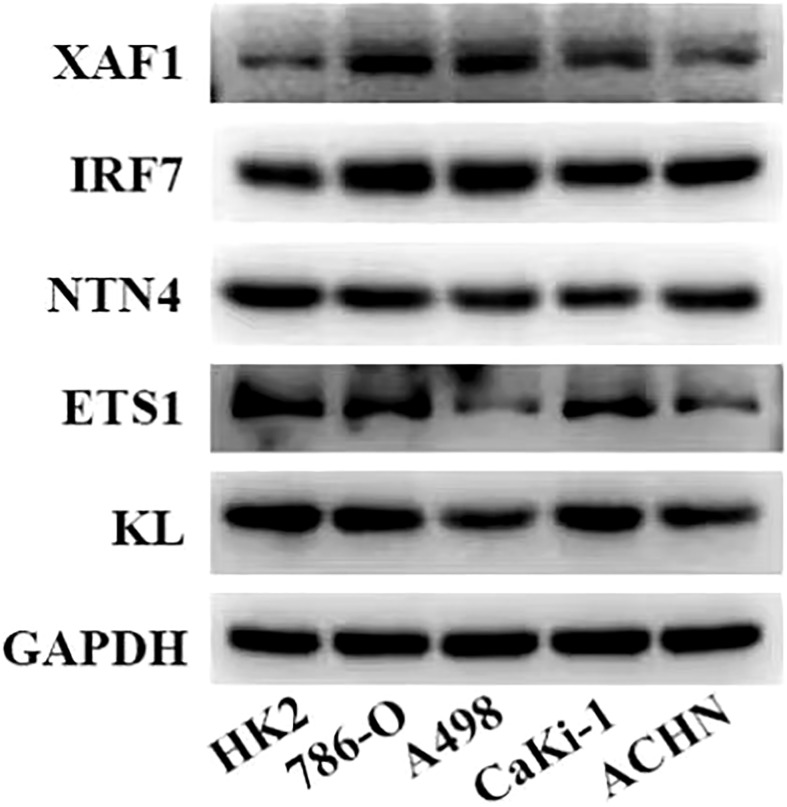 Figure 6