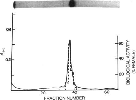 graphic file with name pnas00057-0207-c.jpg