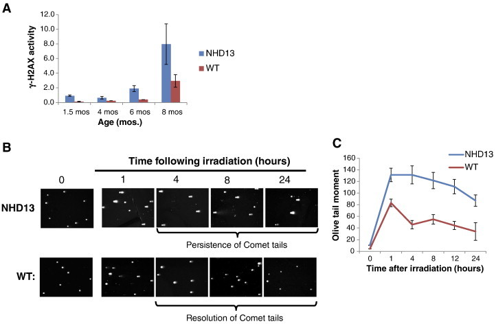 Figure 2