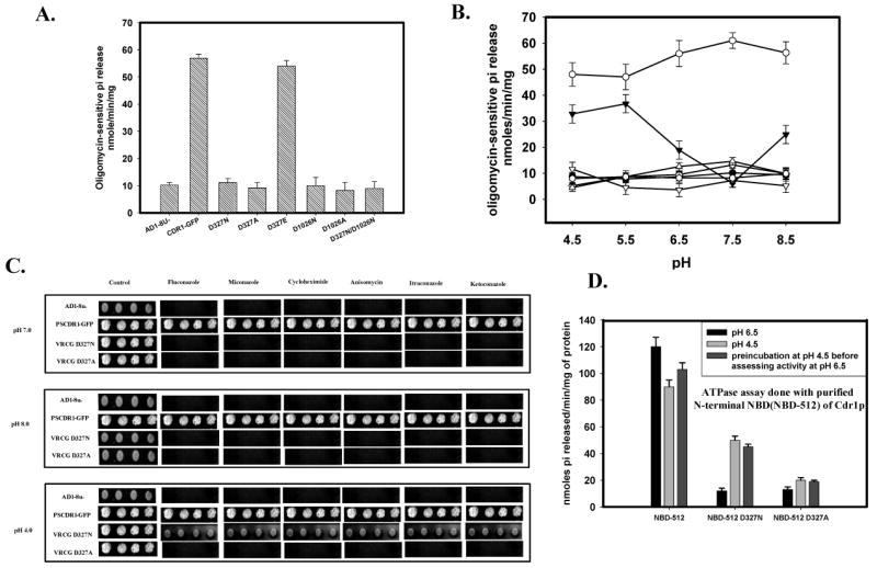 Figure 5