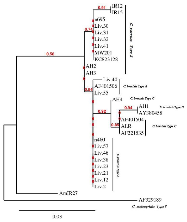 Fig 3