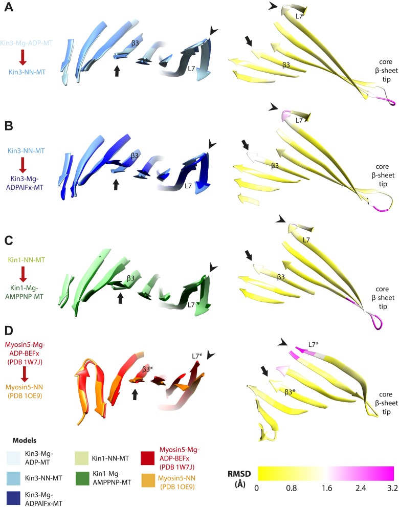 Figure 5—figure supplement 1.