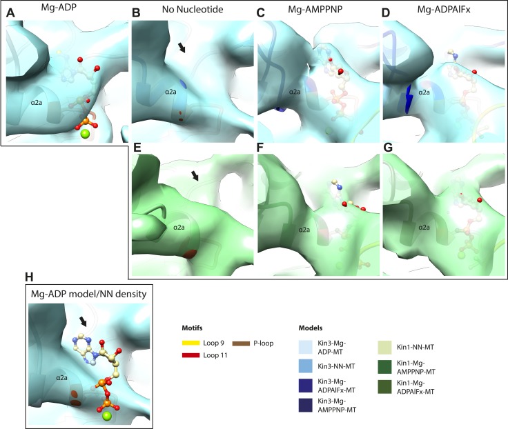 Figure 2—figure supplement 5.