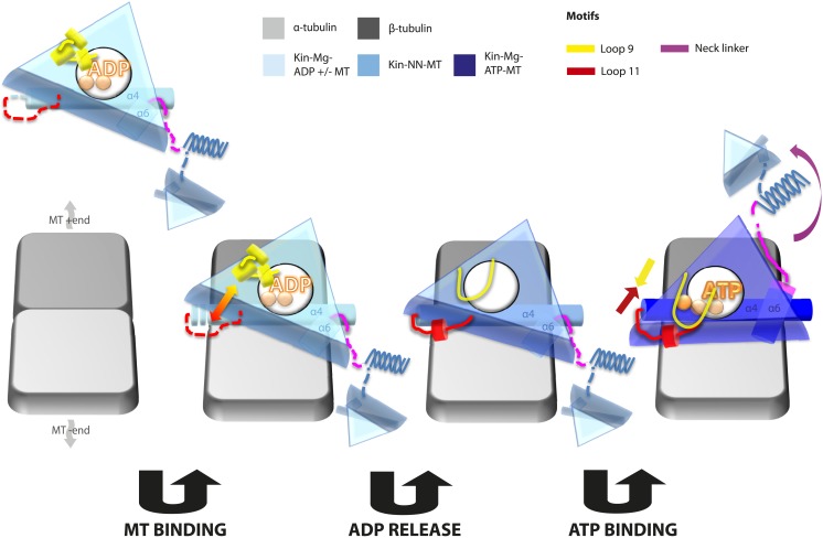 Figure 7.