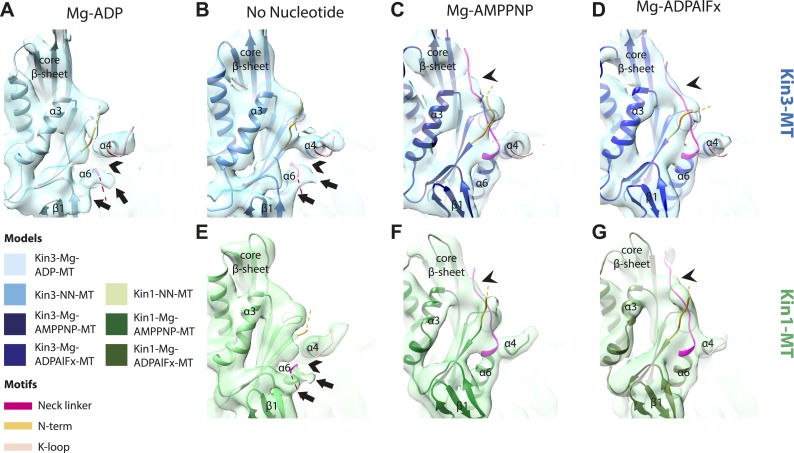 Figure 3—figure supplement 3.