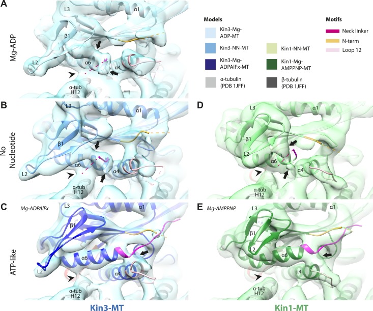 Figure 3.