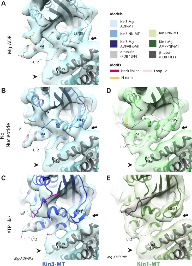 Figure 4.