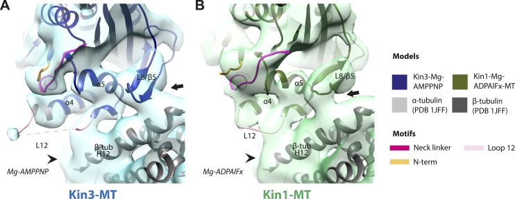 Figure 4—figure supplement 1.