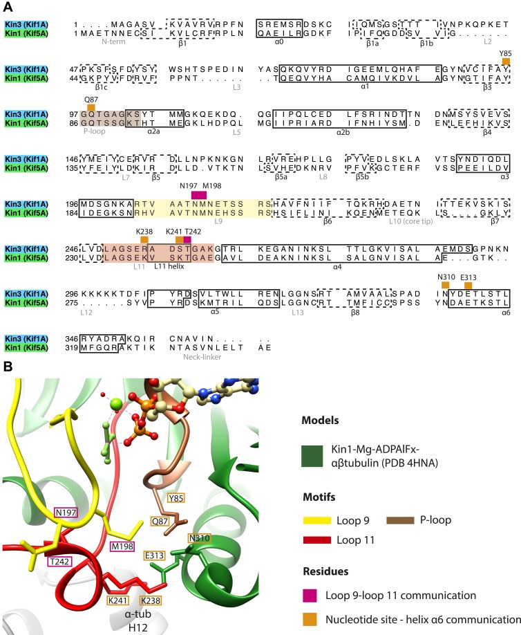 Figure 2—figure supplement 4.