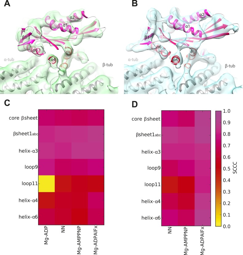 Figure 1—figure supplement 2.