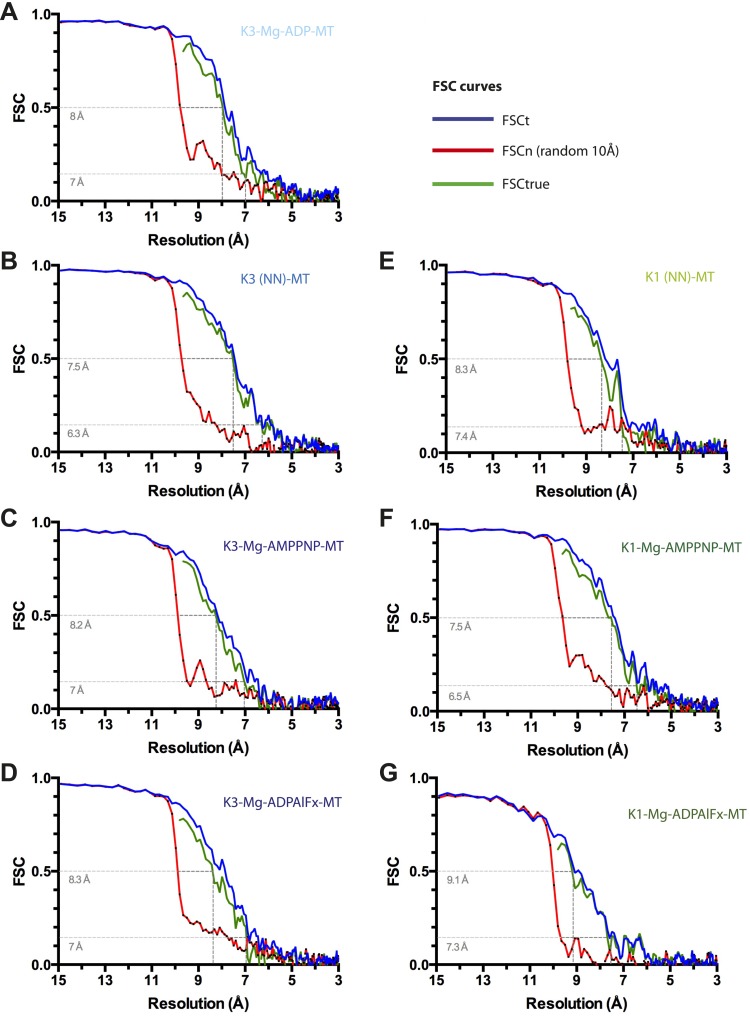 Figure 1—figure supplement 1.