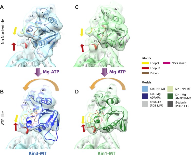 Figure 5—figure supplement 2.